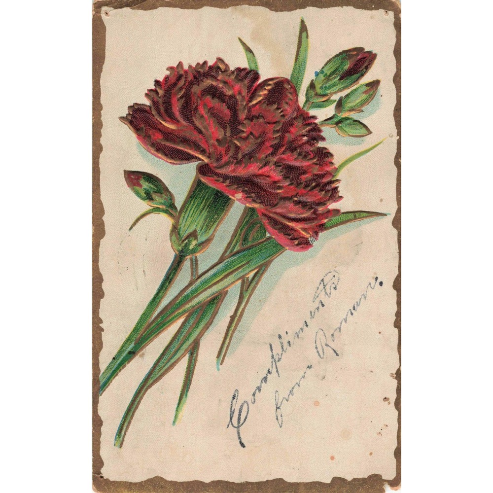 Antique 1908 Embossed Red Carnations Floral Postcard Sheboygan WI Postmark Stamp - Picture 1 of 2